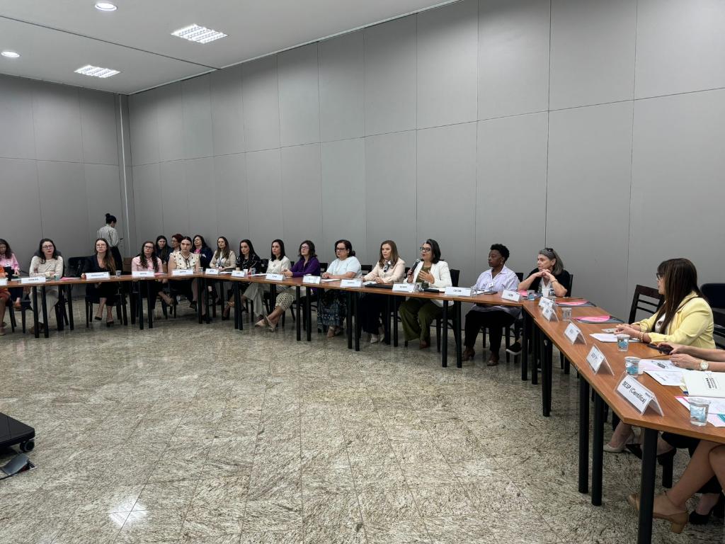 TJPR Sedia Reunião do Comitê Interinstitucional de Enfrentamento às Violências contra as Mulheres